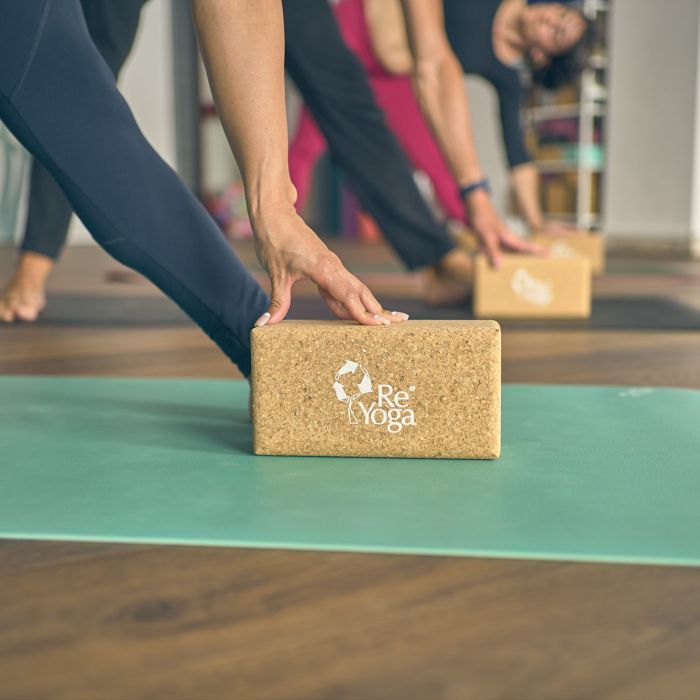 Hatha Yoga